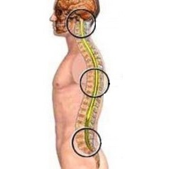 osteocondroza spatelui coloanei vertebrale)